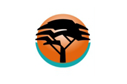 FNB Logo